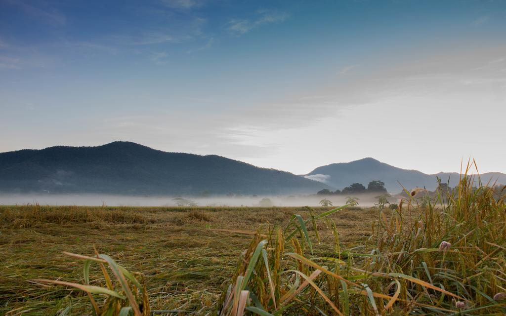 Penginapan ladang Santitham Farm