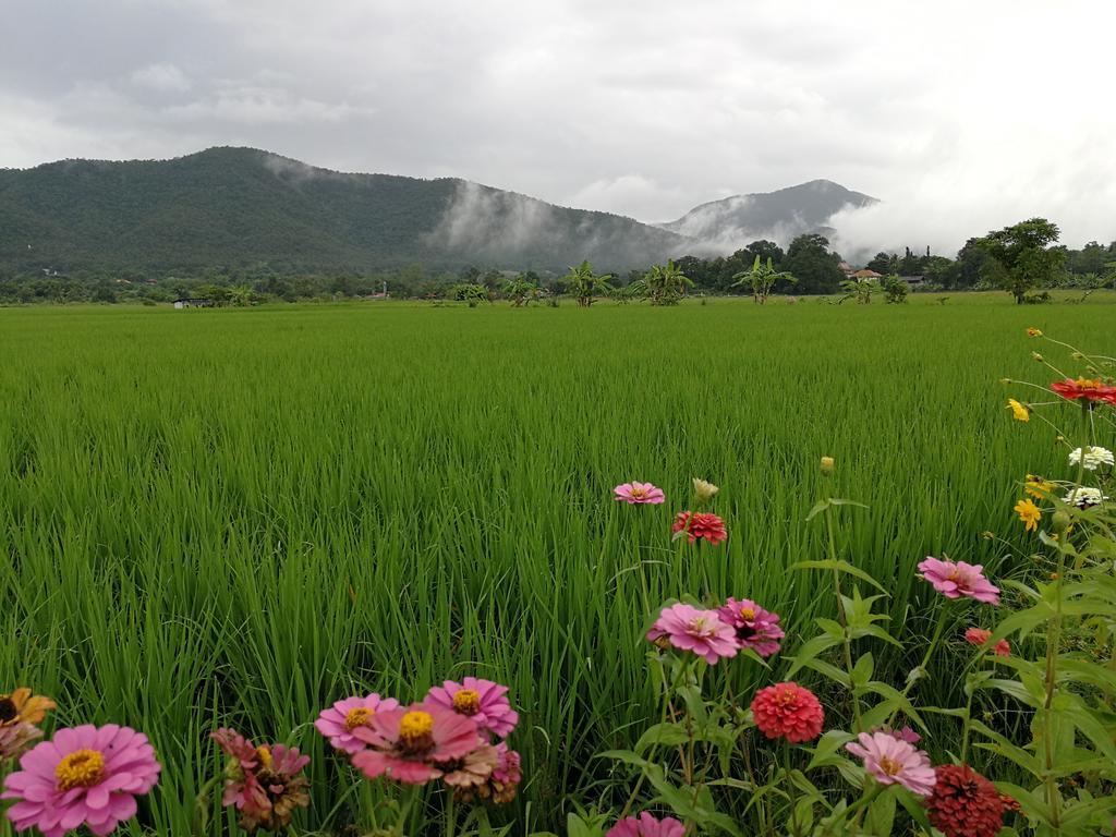 Santitham Farm Farm stay Mae Taeng